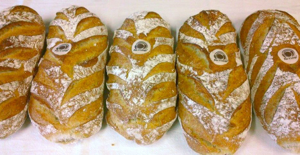 Days of Bread