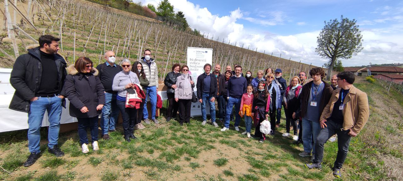 “Picnic in vigna” Turisti e albesi alla scoperta di biodiversità  tra i filari della vigna urbana di Alba