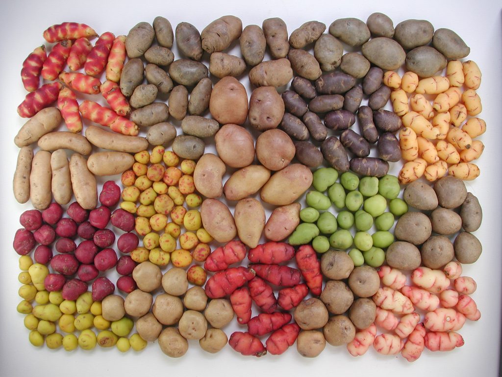 Biodiversità: quanto ne sappiamo?