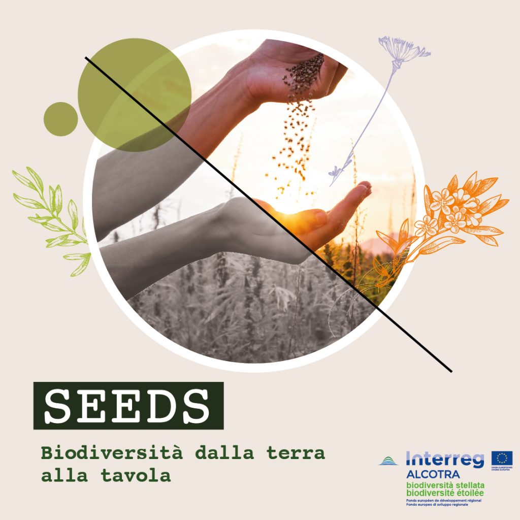 “Seeds”: ad Alba doppio appuntamento per approfondire il tema della Biodiversità