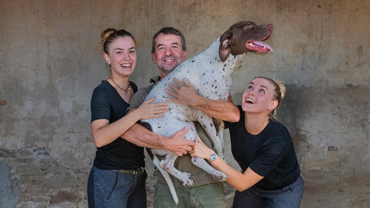 Steve McCurry - Truffle hunters and their dogs - Mostra permanente al Mudet di Alba