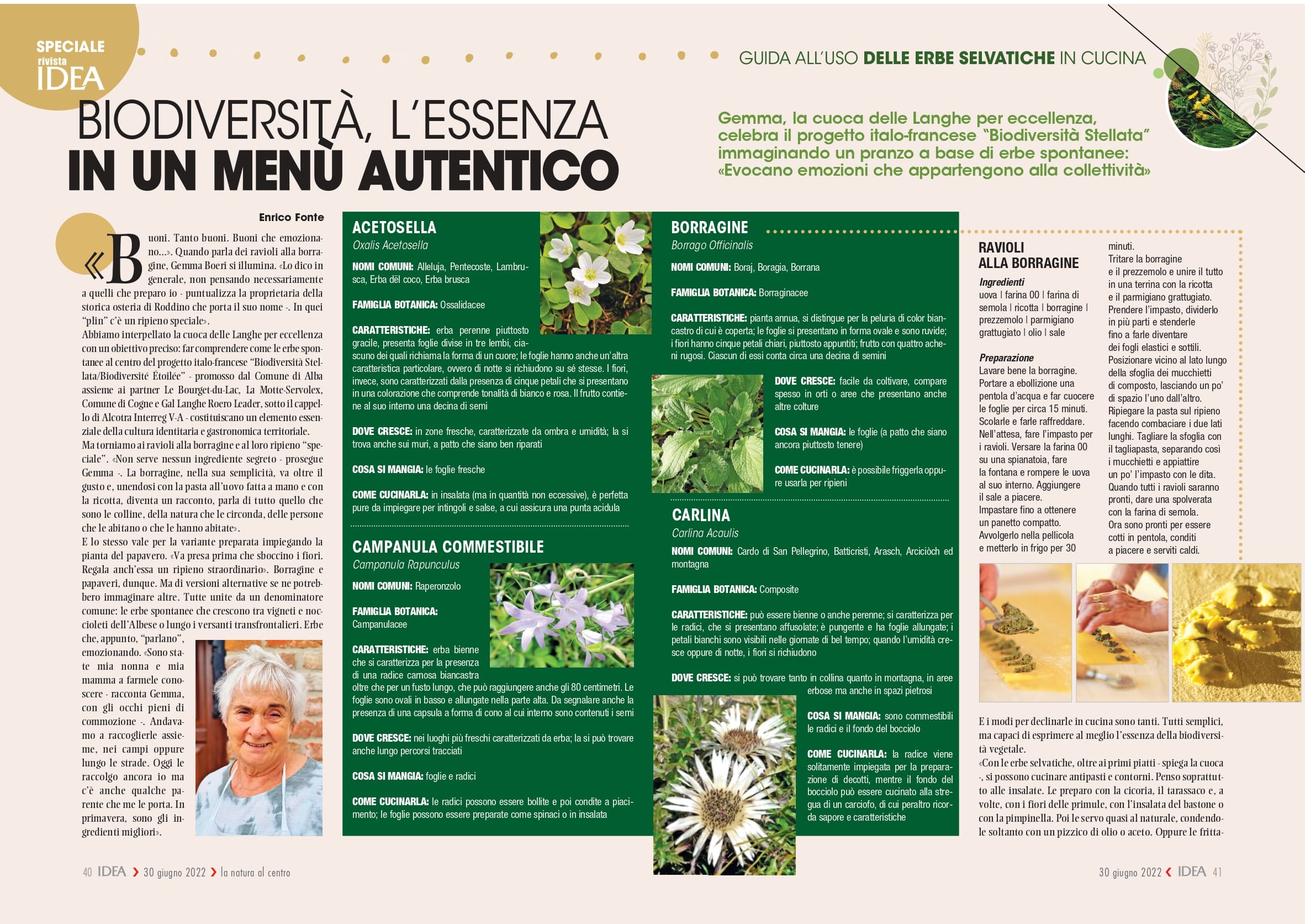 Biodiversità Stellata - Erbe Selvatiche in cucina