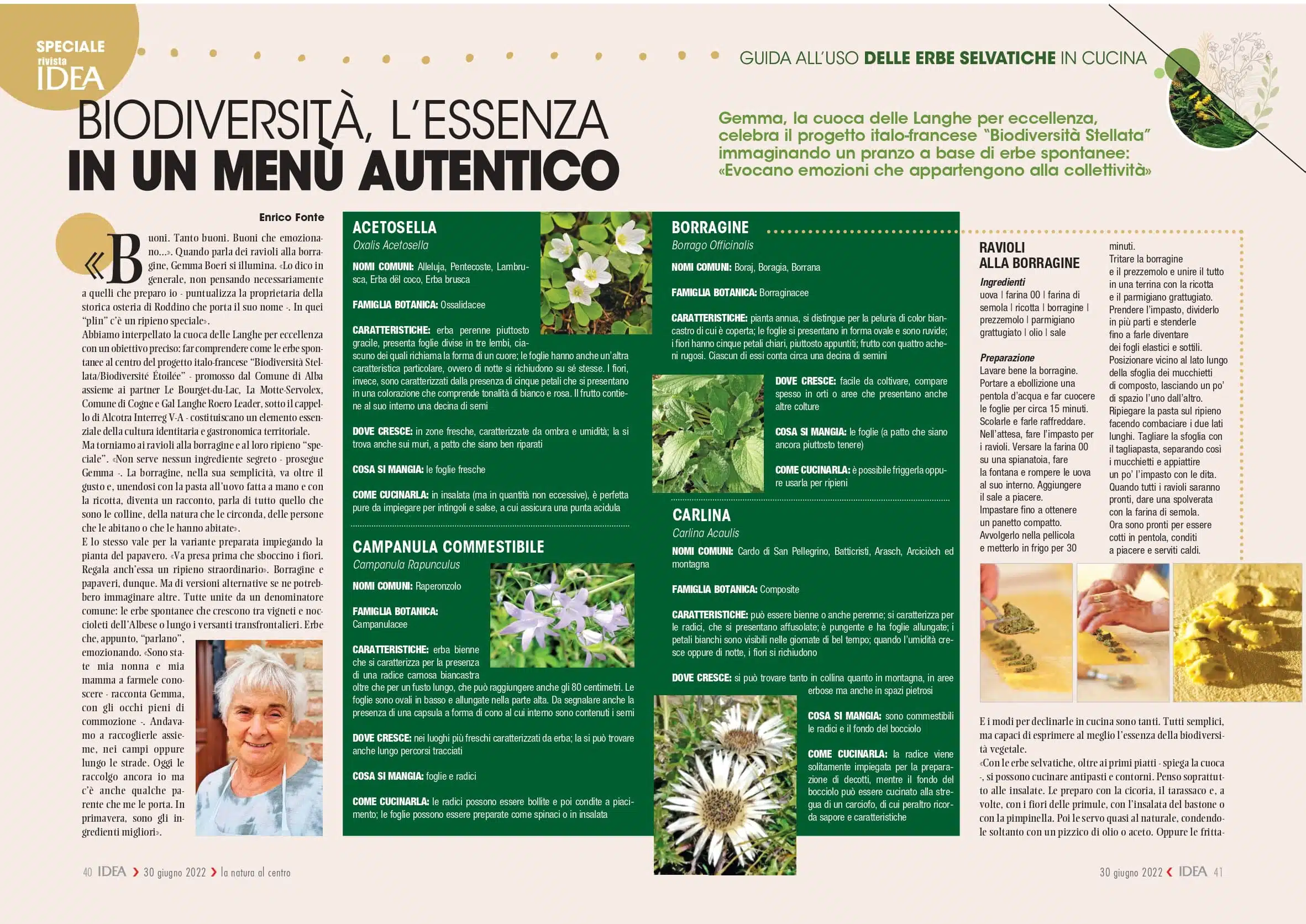 Biodiversité stellaire - Les herbes sauvages en cuisine