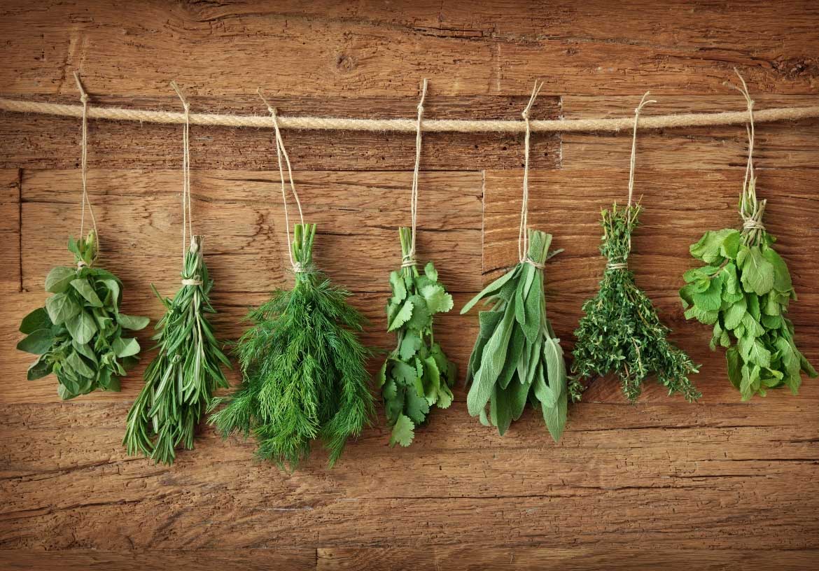 Biodiversità Stellata/ Biodiversité Étoilée