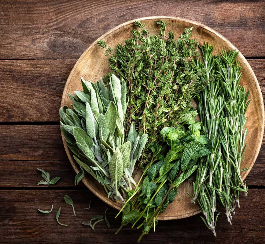 Biodiversità Stellata