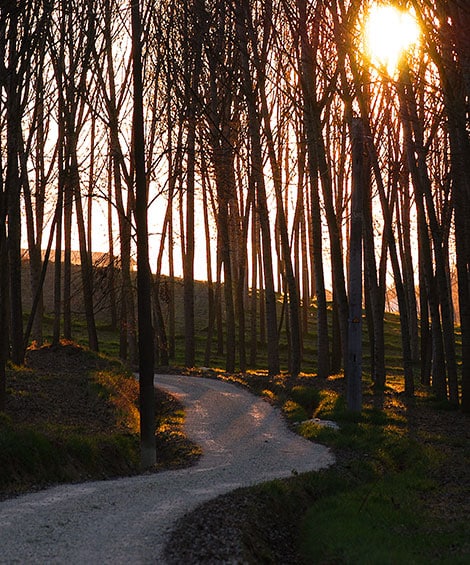 Il sentiero di Santa Rosalia