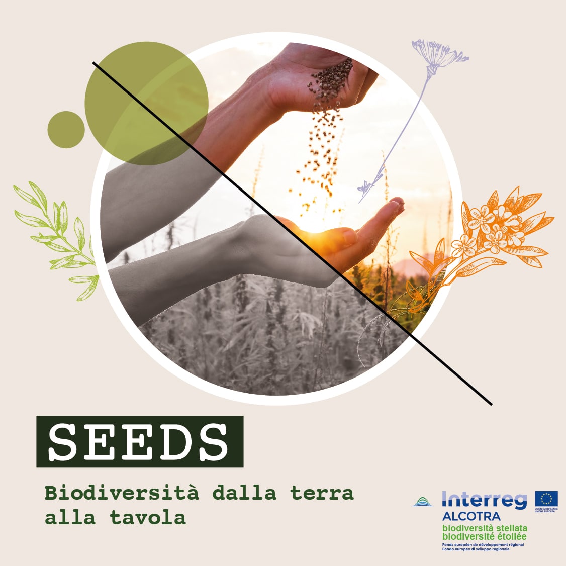Biodiversità Stellata - Seeds