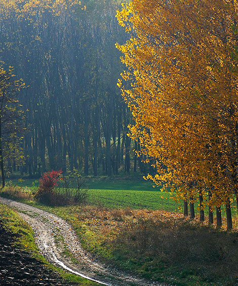 Il sentiero del Comandante