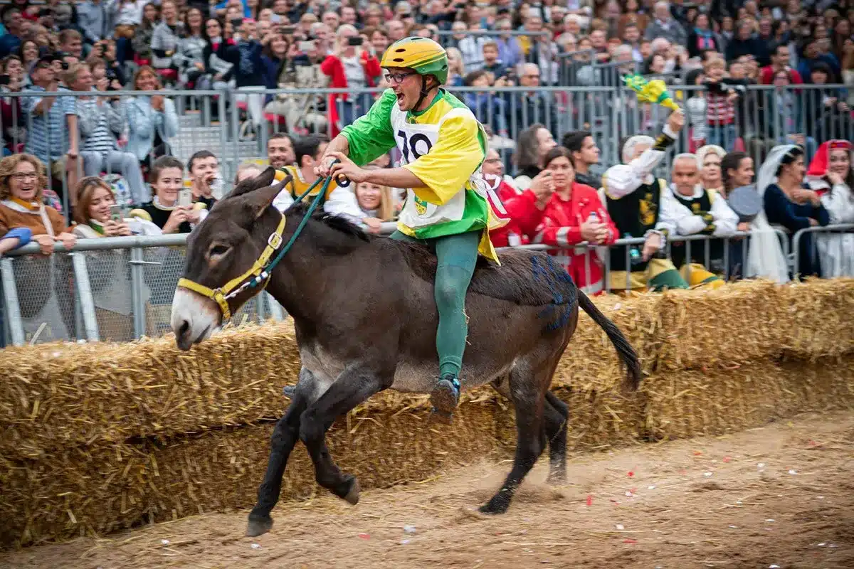 Donkey Palio