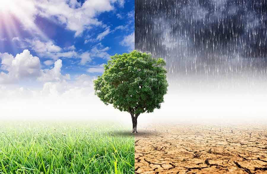 In rete per il clima: prevenzione, resilienza e adattamento