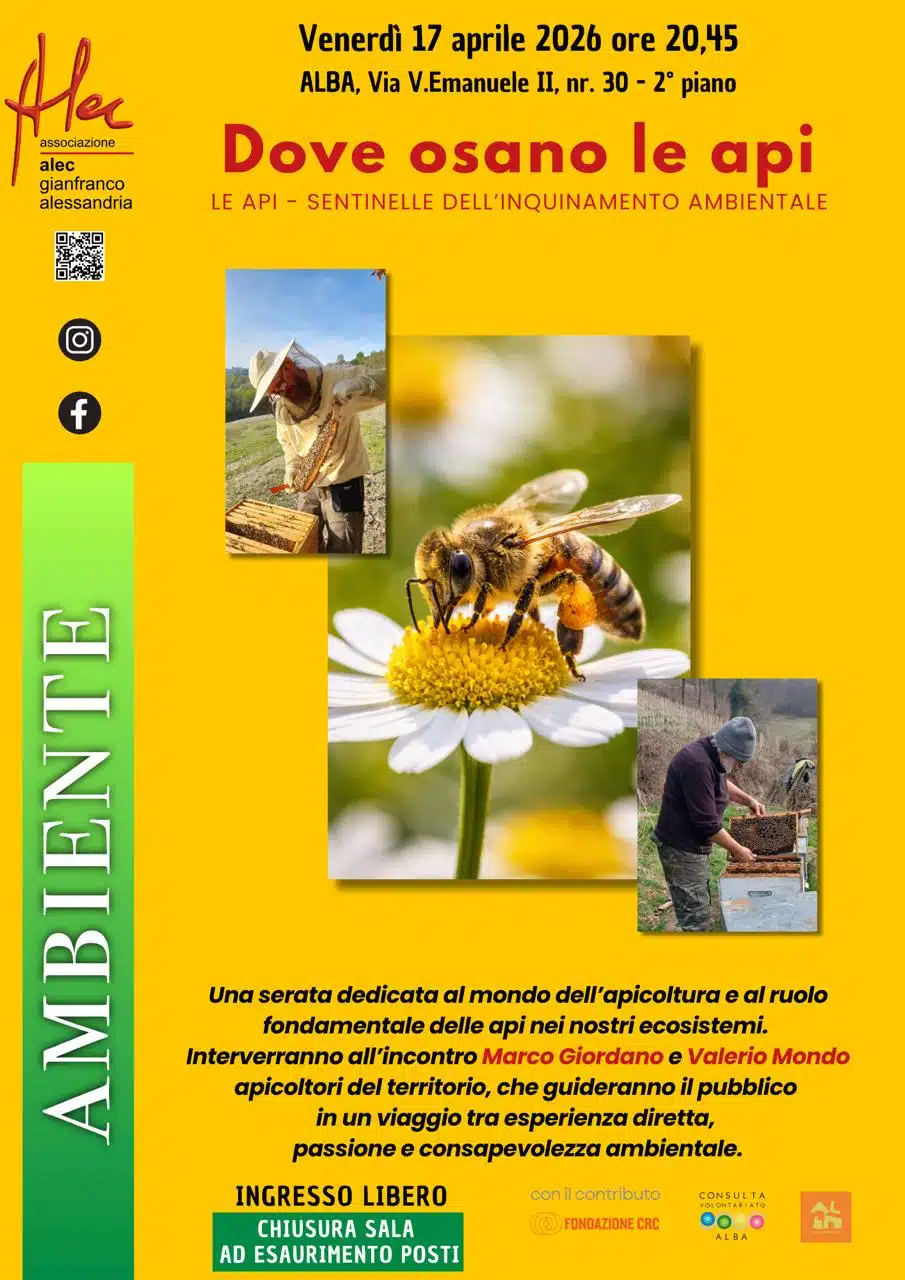 LE API: SENTINELLE DELL'INQUINAMENTO AMBIENTALE