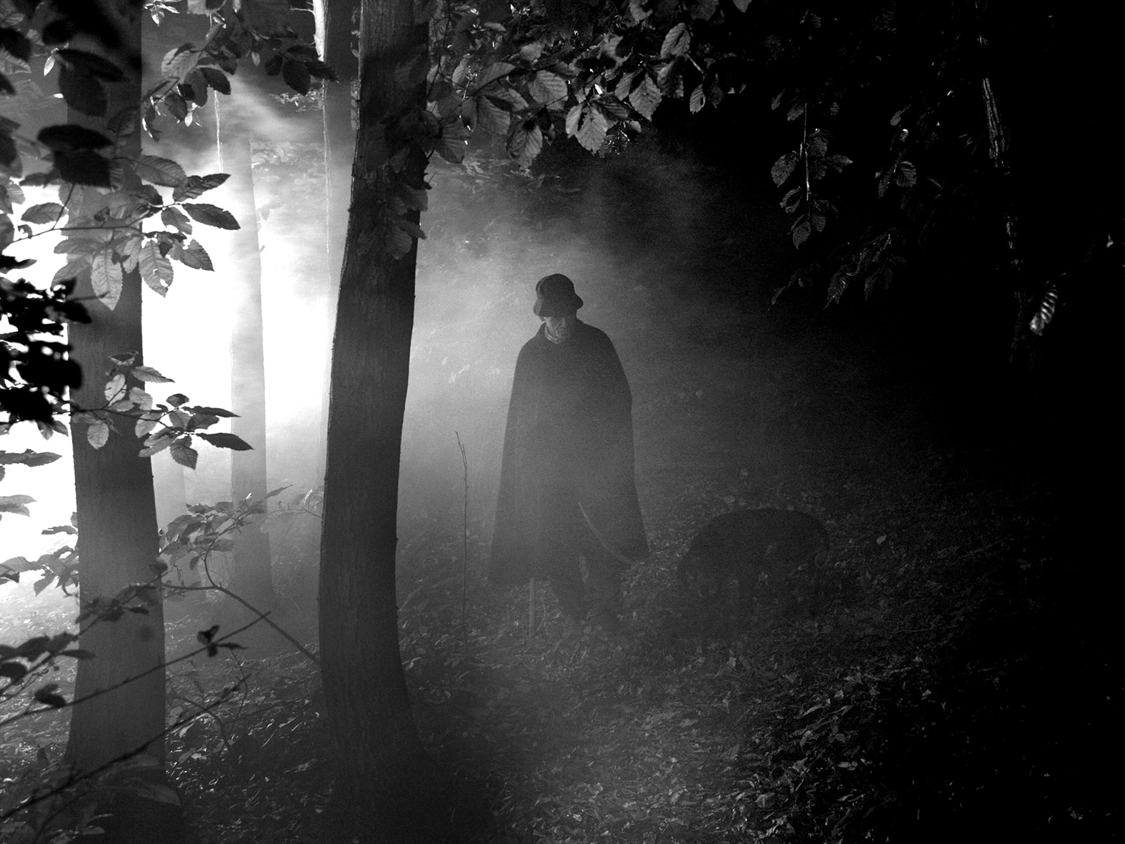 Chasseur de truffes noires et blanches