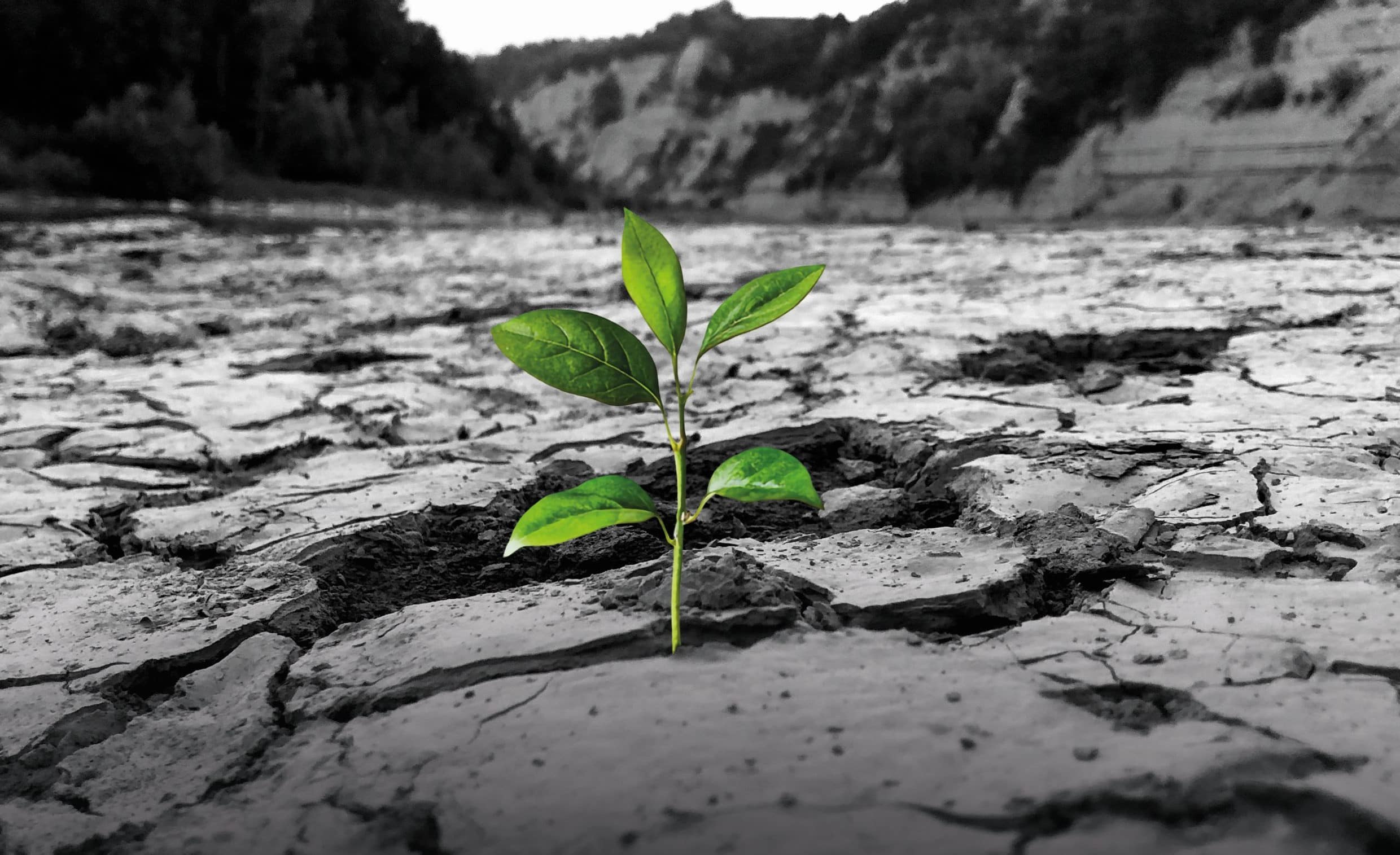 La terra che Cambia The changing Land