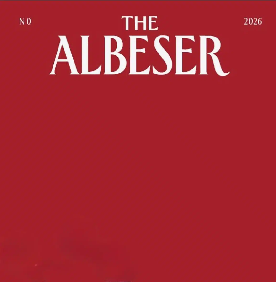 Presentazione progetto THE ALBESER